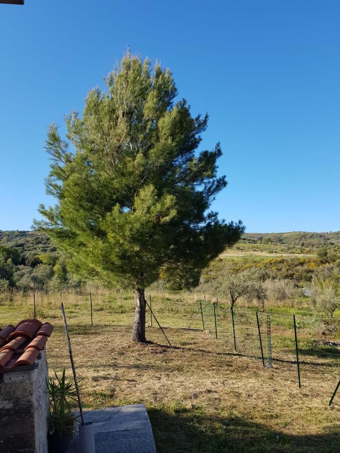 Villetta Nel Verde Ascea Exterior photo