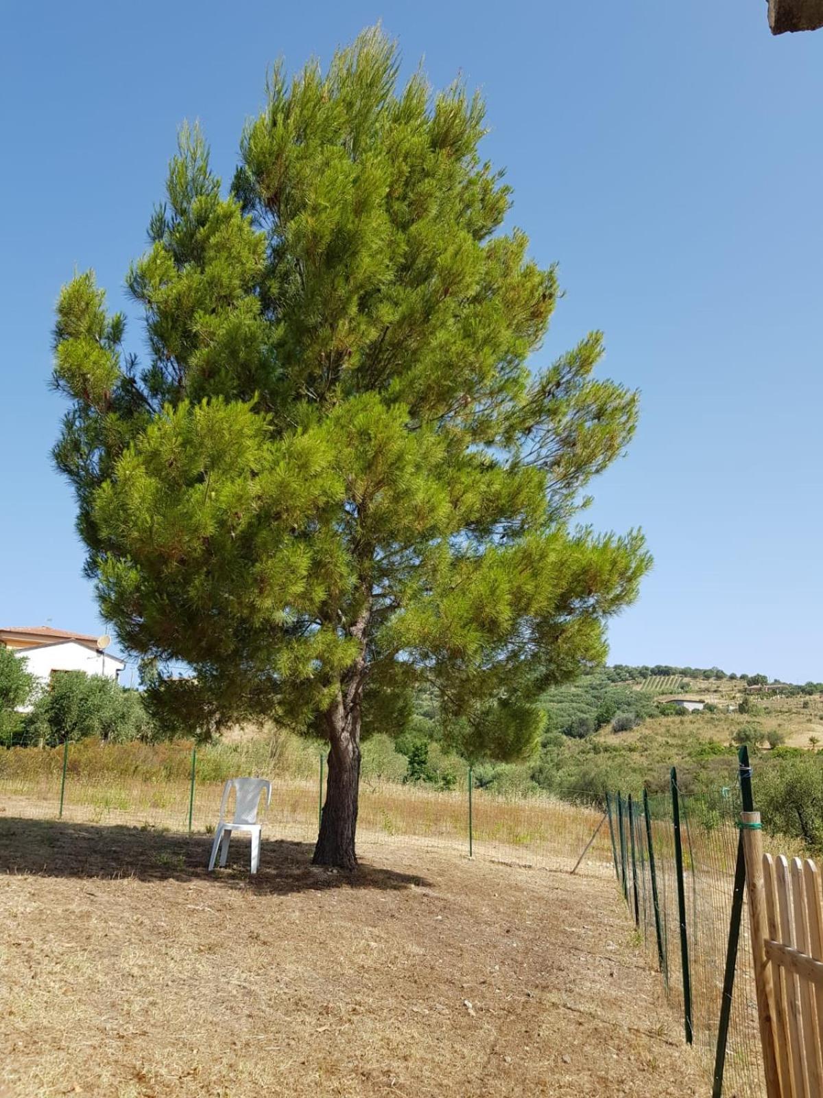 Villetta Nel Verde Ascea Exterior photo